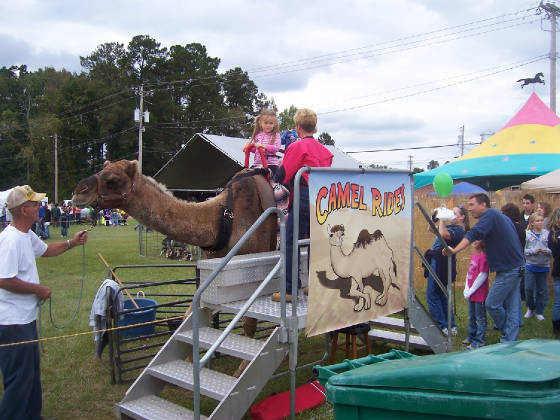 camelride2.jpg