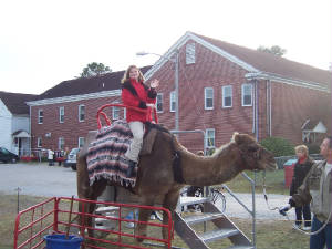 camelride2UMC.jpg