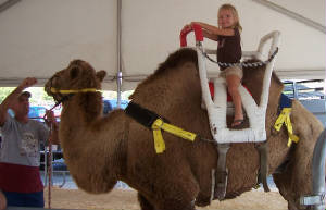 camelrideoutstide.jpg