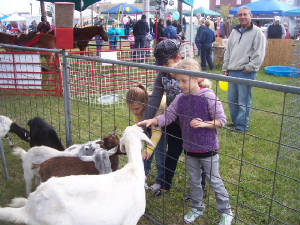 pettingpark2.jpg