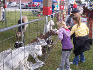 pettingpark3.jpg