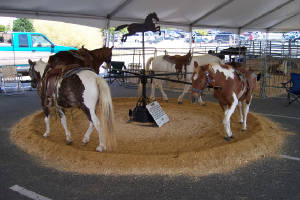 ponyridesfair1.JPG