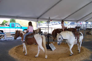 ponyridesfair2.JPG