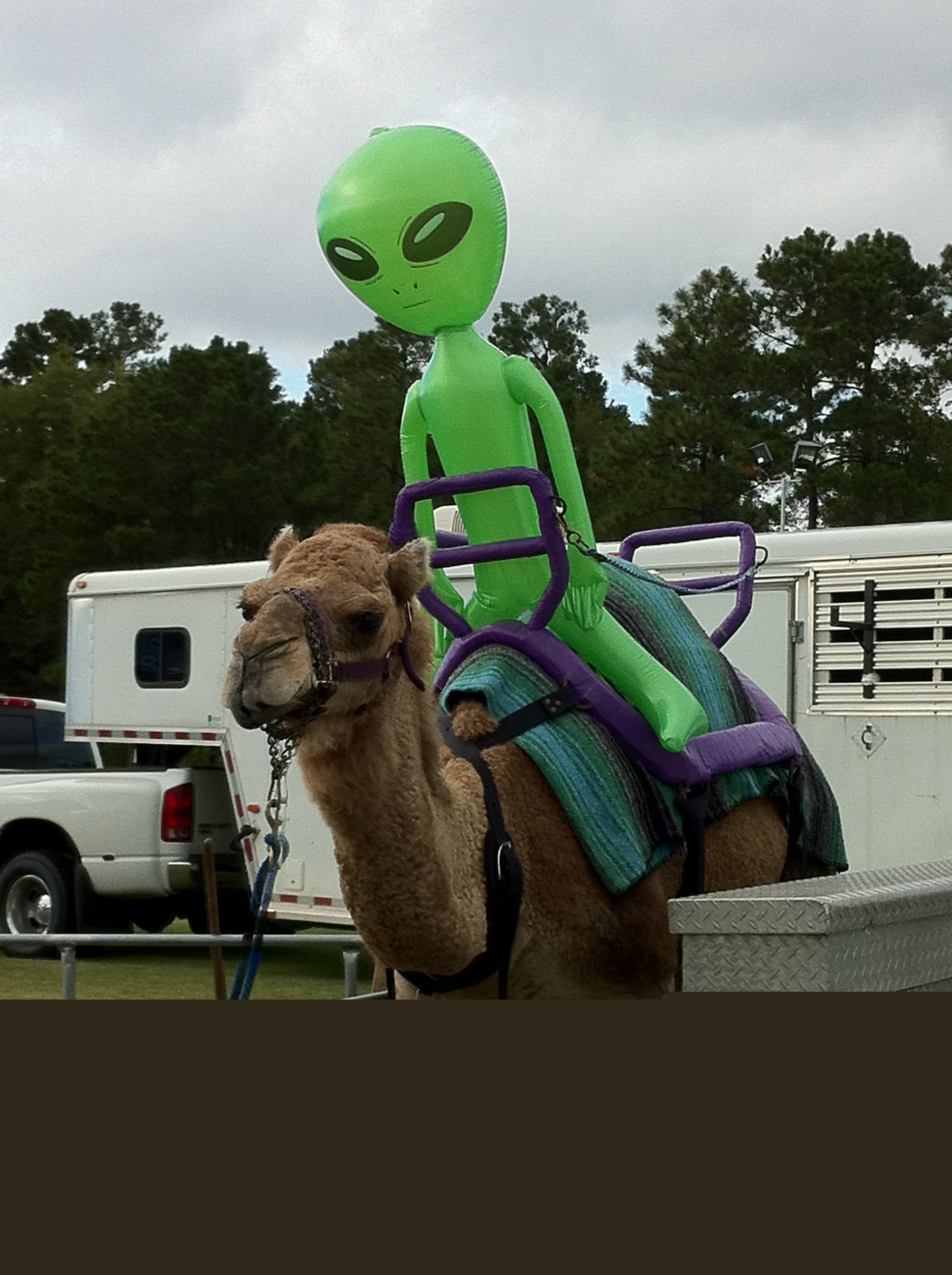 Camelrides/132.JPG