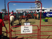 Poniesforsale/ponyridesmbfestival.JPG