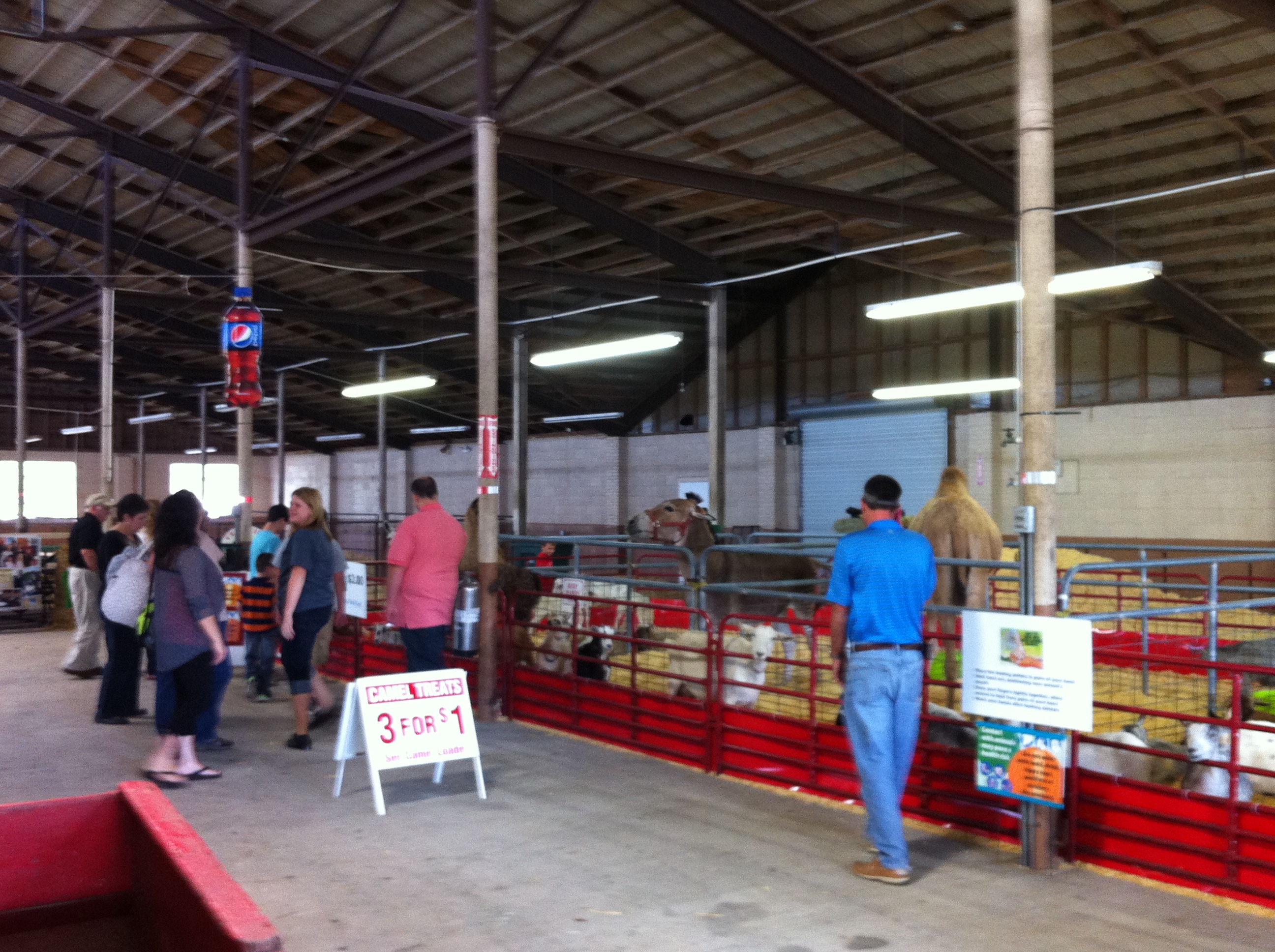 Poniesforsale/ponyrideorangeburgfair.JPG