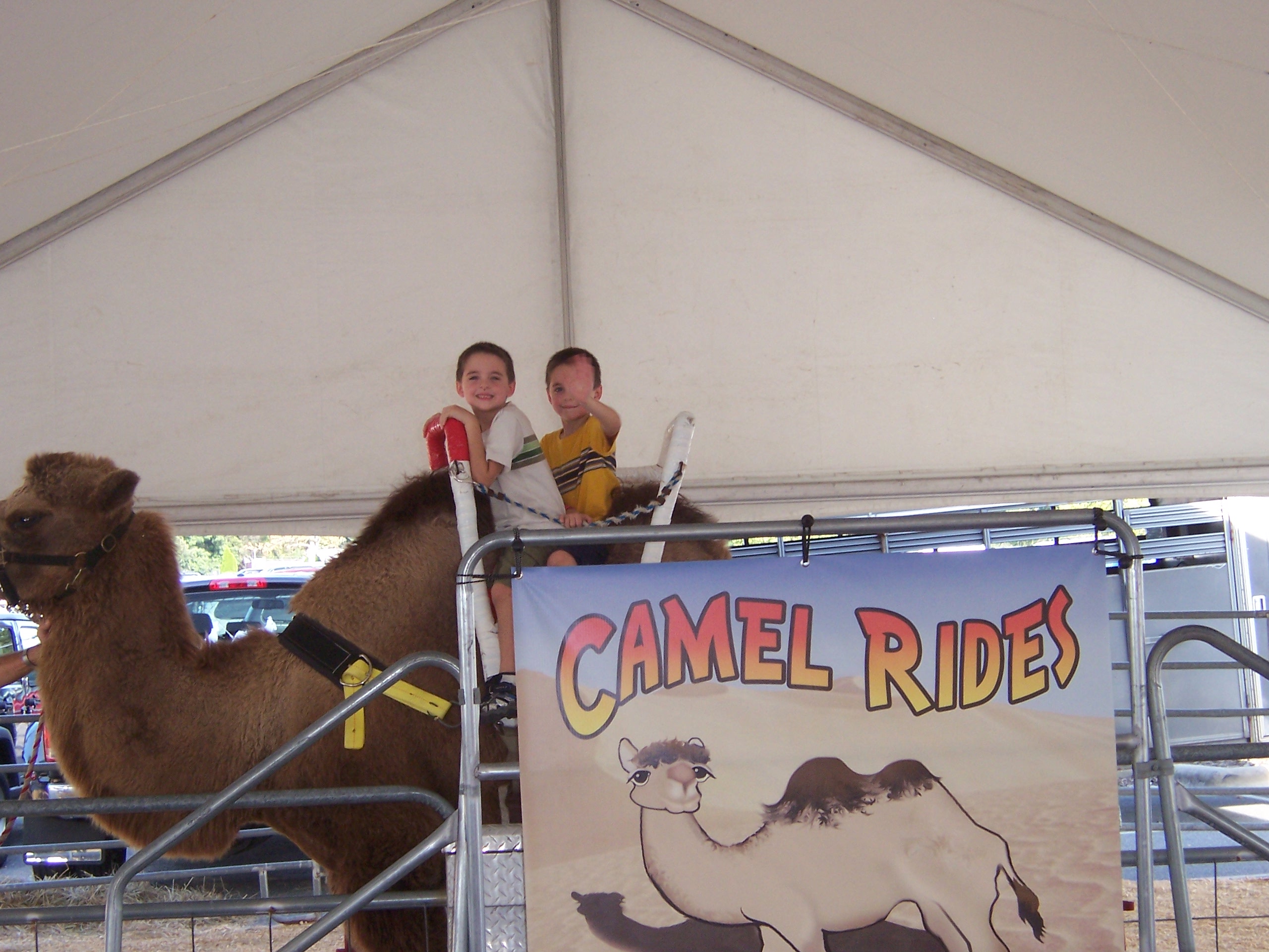 camelridefair.jpg