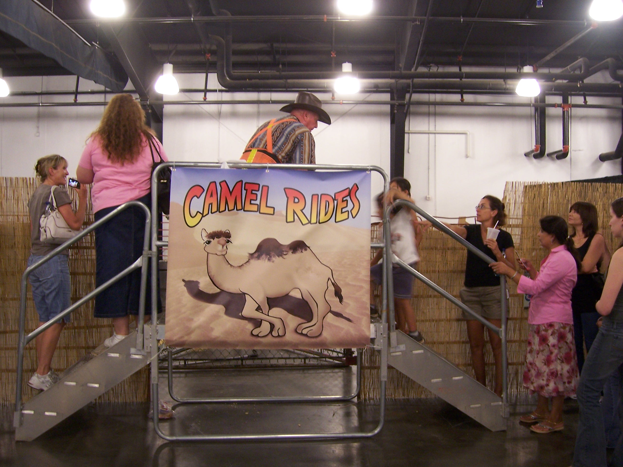 camelsignside.jpg